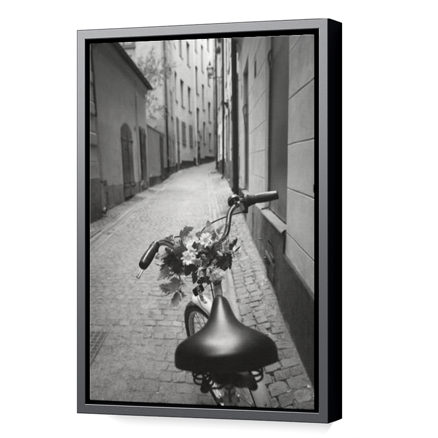 Thumbnail for Canvas - Black Floating Frame