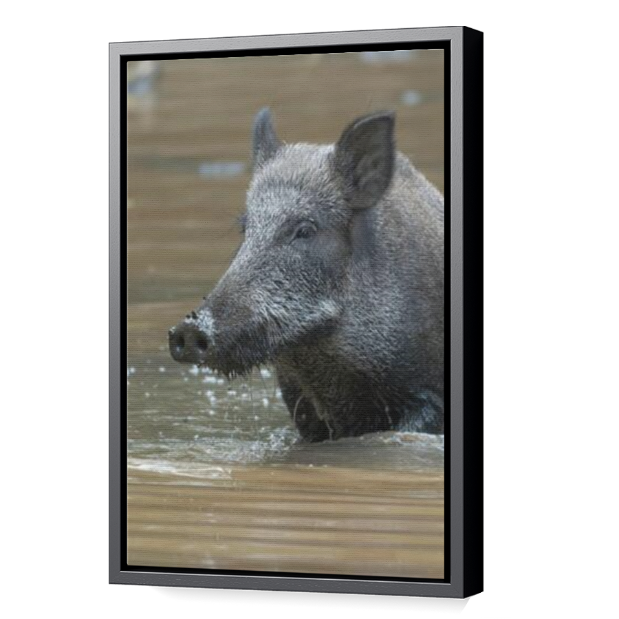 Thumbnail for Canvas - Black Floating Frame