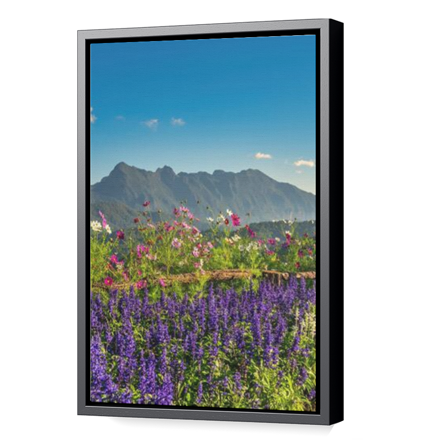 Thumbnail for Canvas - Black Floating Frame