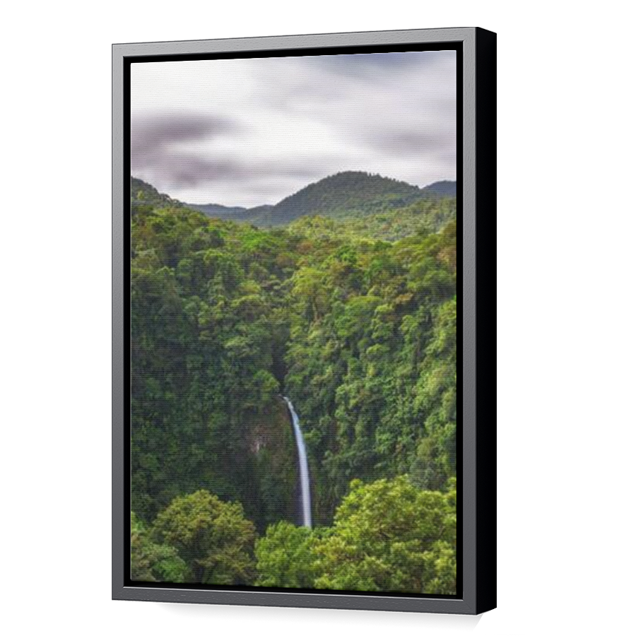 Thumbnail for Canvas - Black Floating Frame