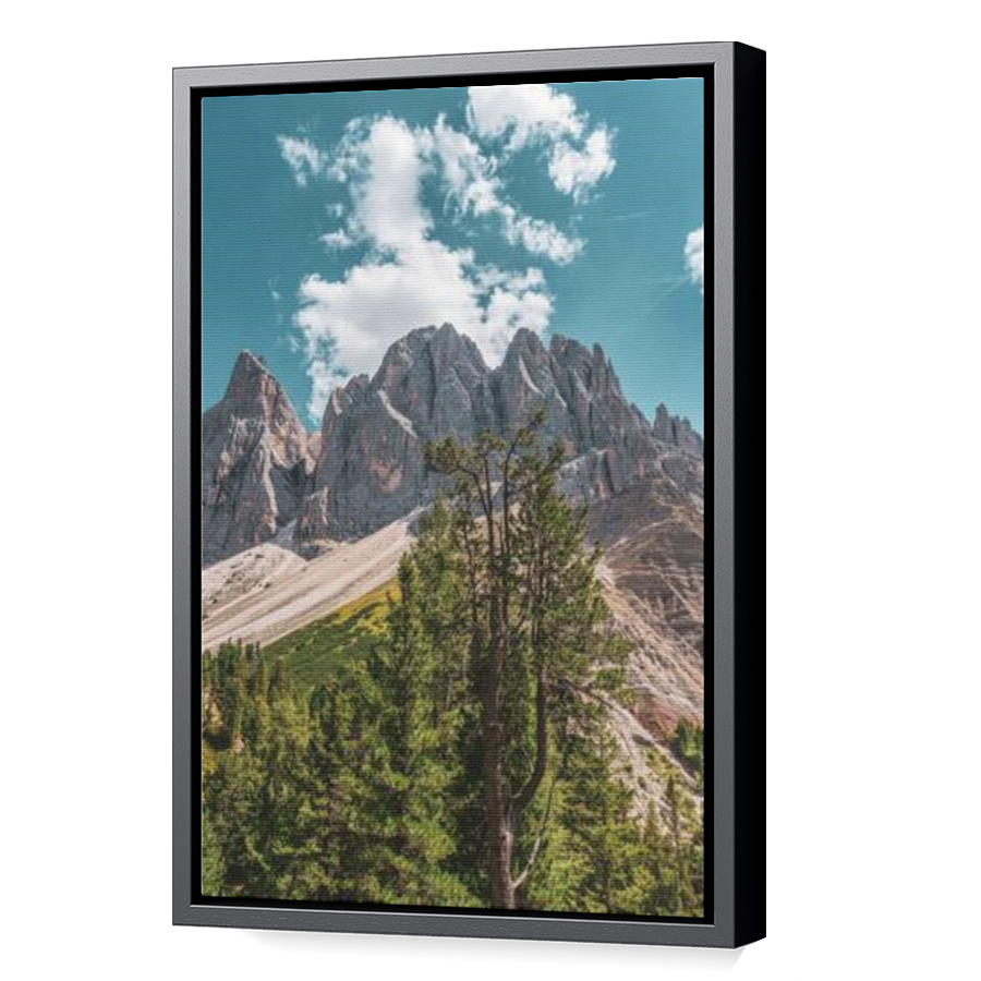 Thumbnail for Canvas - Black Floating Frame