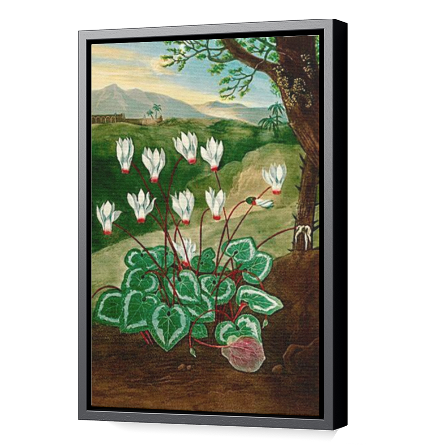 Thumbnail for Canvas - Black Floating Frame