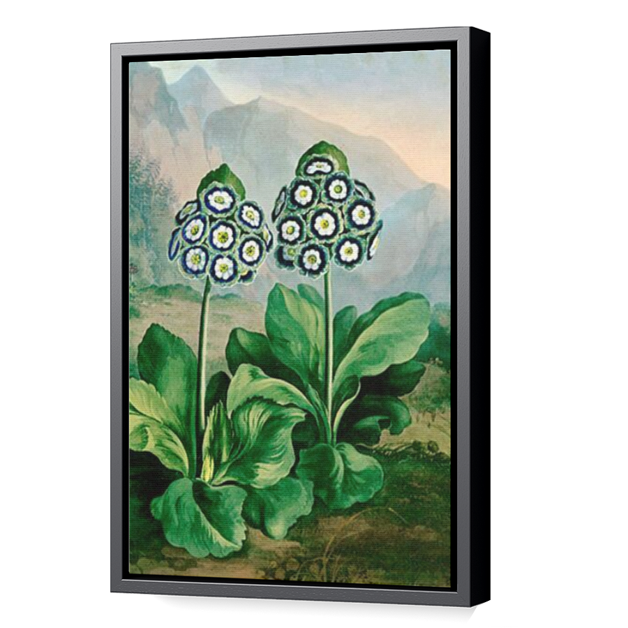 Thumbnail for Canvas - Black Floating Frame