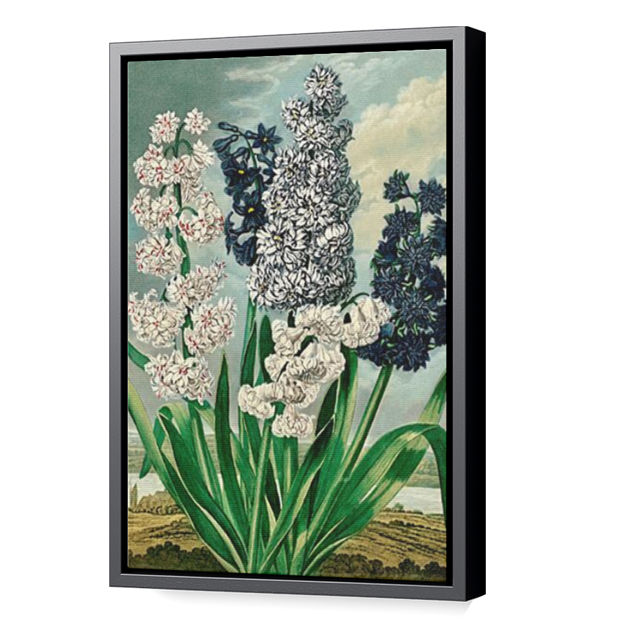 Thumbnail for Canvas - Black Floating Frame