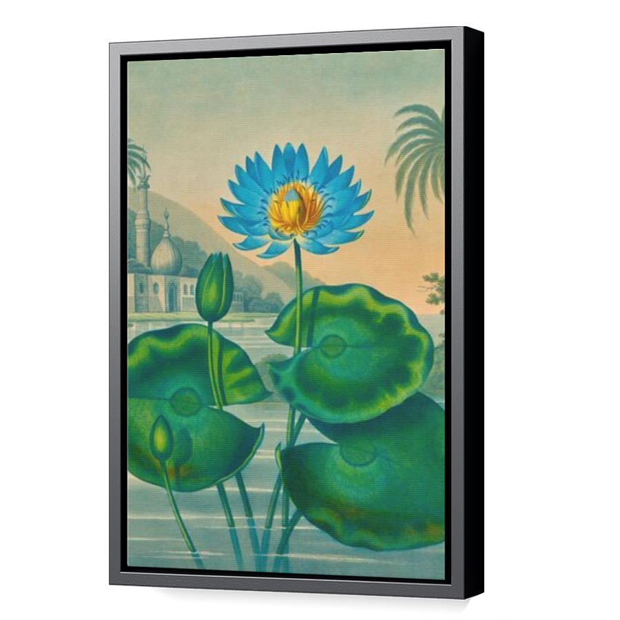 Thumbnail for Canvas - Black Floating Frame