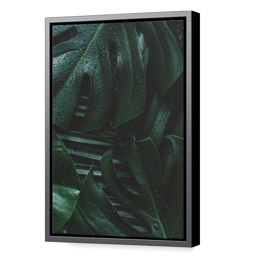 Thumbnail for Canvas - Black Floating Frame