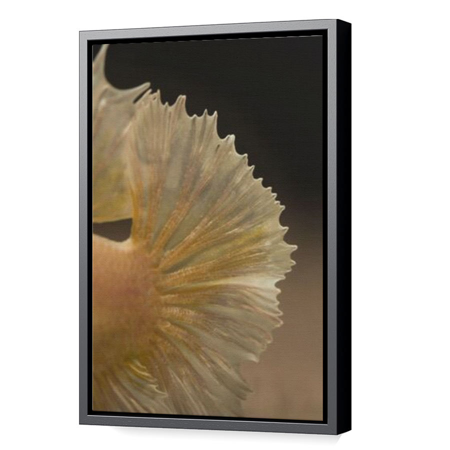 Thumbnail for Canvas - Black Floating Frame