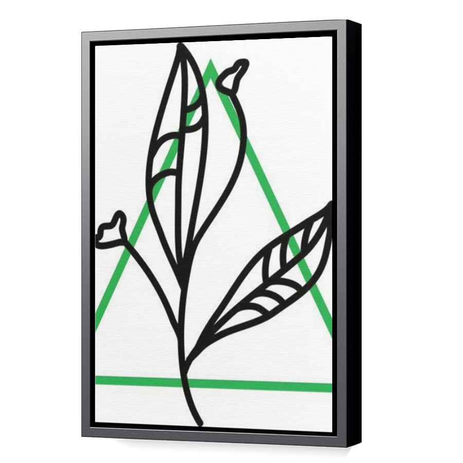 Thumbnail for Canvas - Black Floating Frame