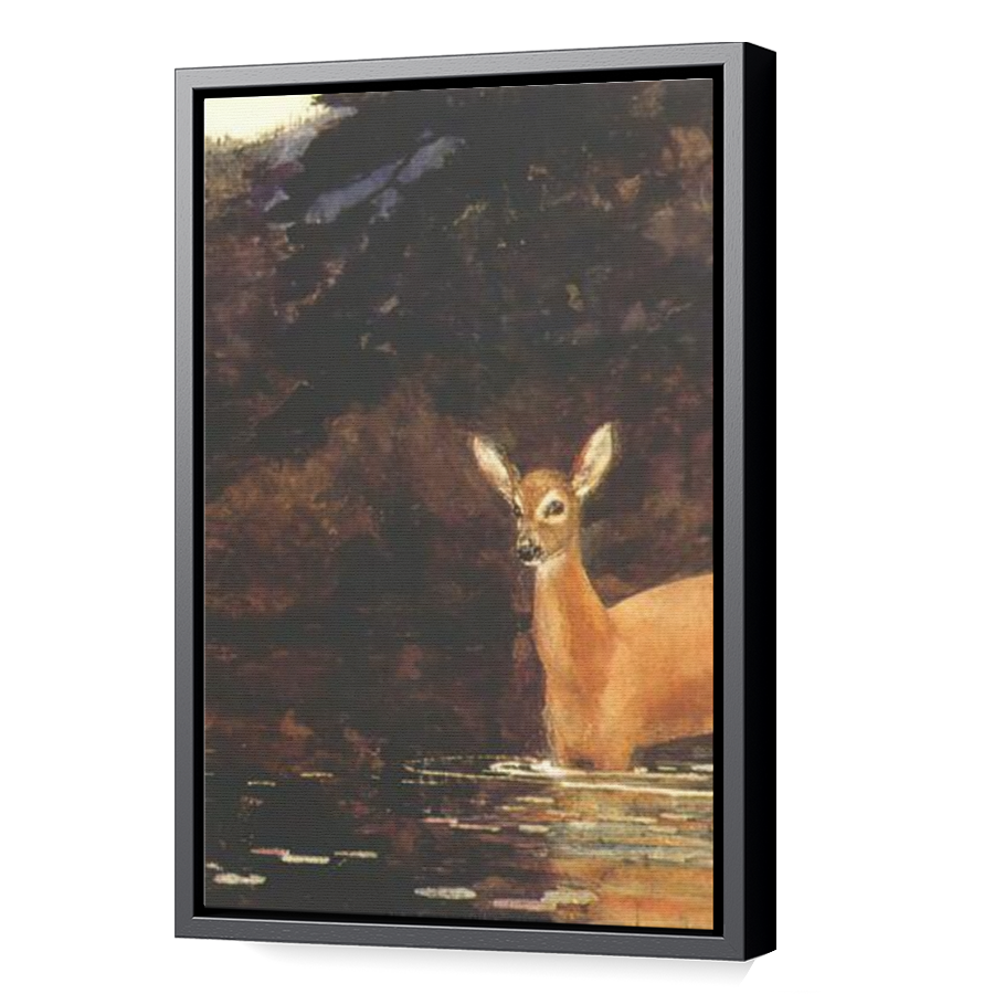 Thumbnail for Canvas - Black Floating Frame