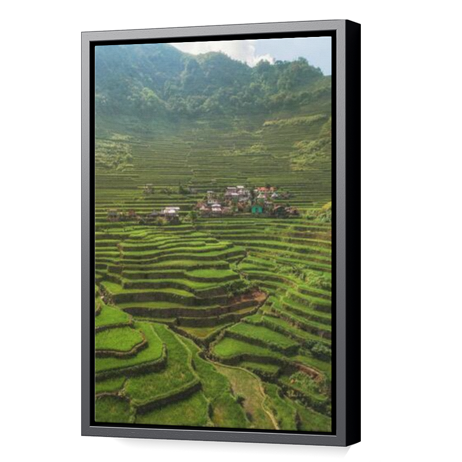 Thumbnail for Canvas - Black Floating Frame