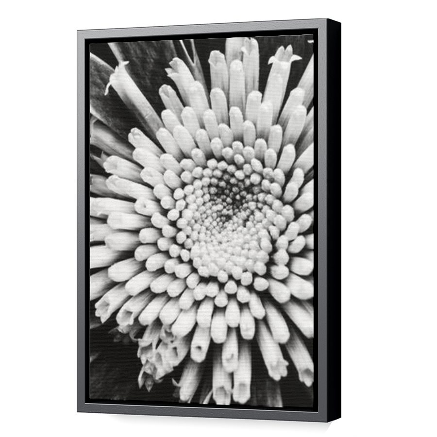 Thumbnail for Canvas - Black Floating Frame
