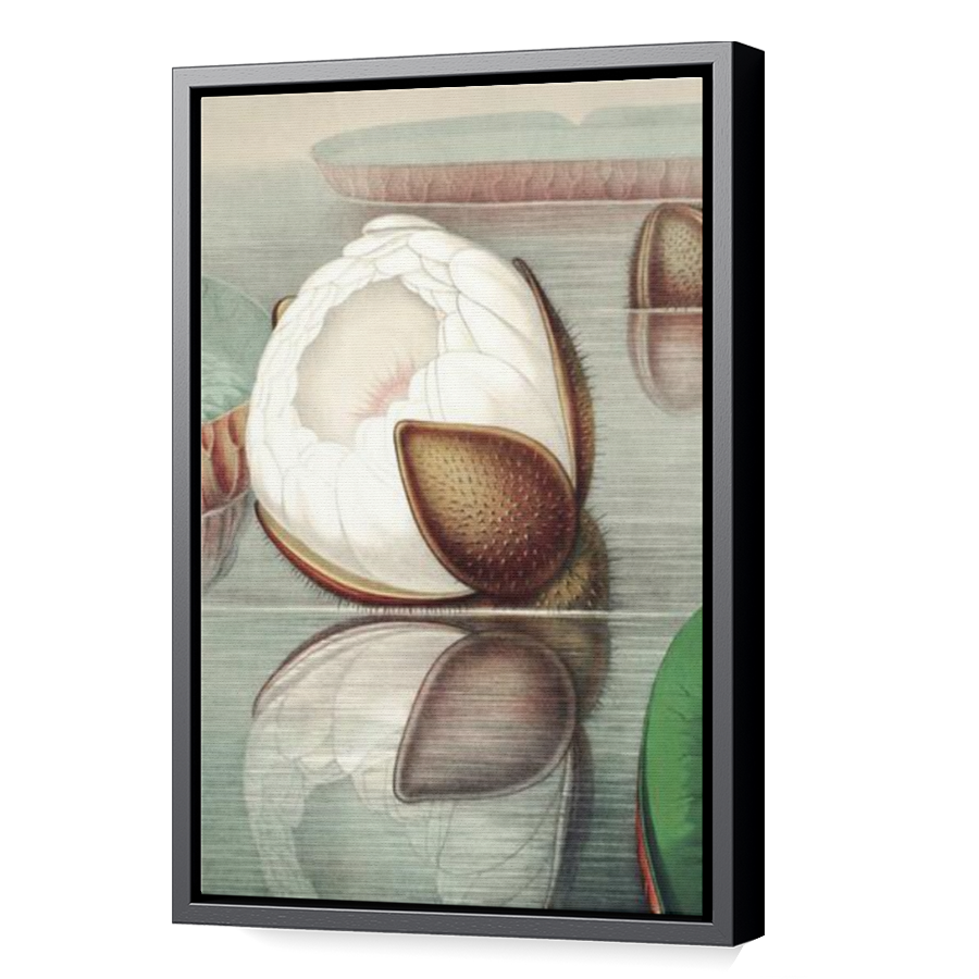 Thumbnail for Canvas - Black Floating Frame
