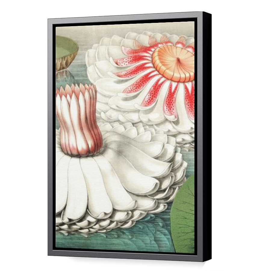 Thumbnail for Canvas - Black Floating Frame