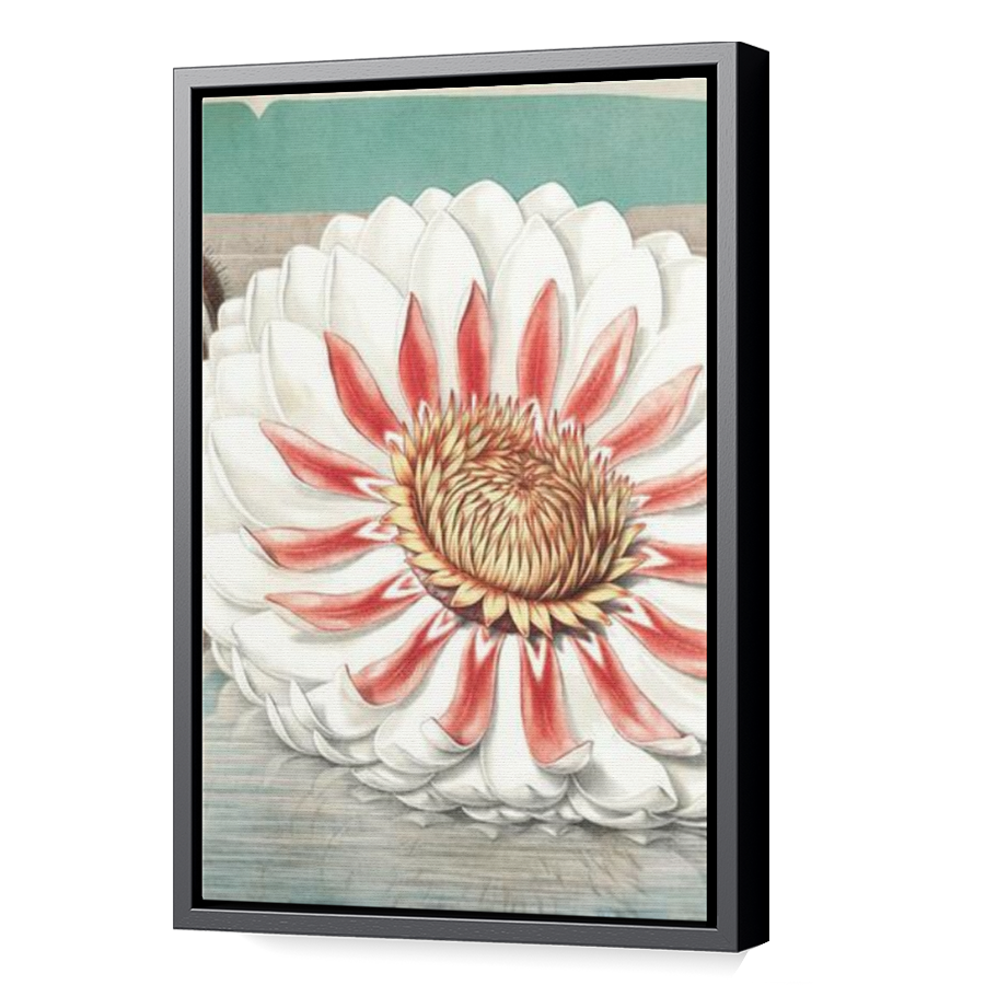 Thumbnail for Canvas - Black Floating Frame