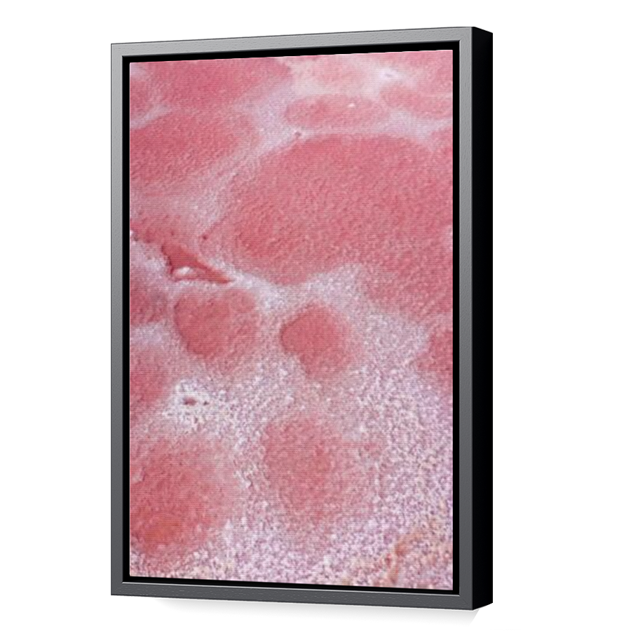 Thumbnail for Canvas - Black Floating Frame