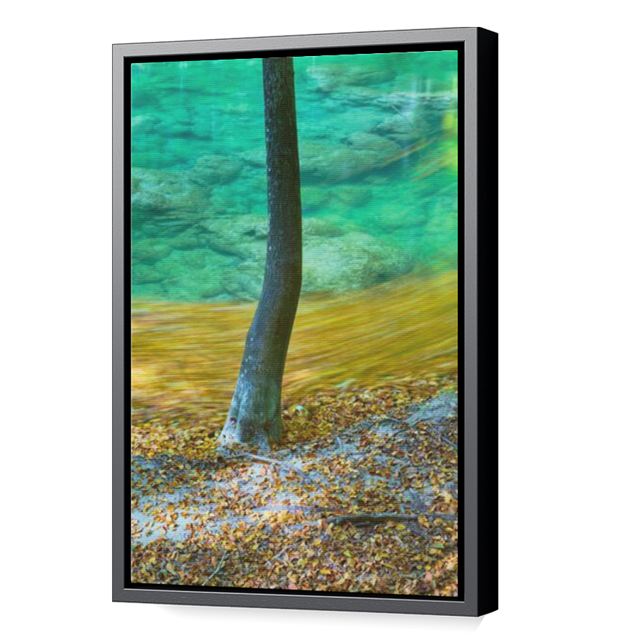 Thumbnail for Canvas - Black Floating Frame