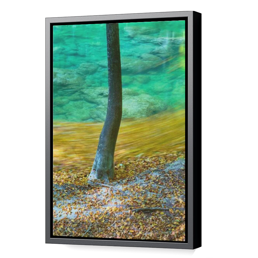 Thumbnail for Canvas - Black Floating Frame