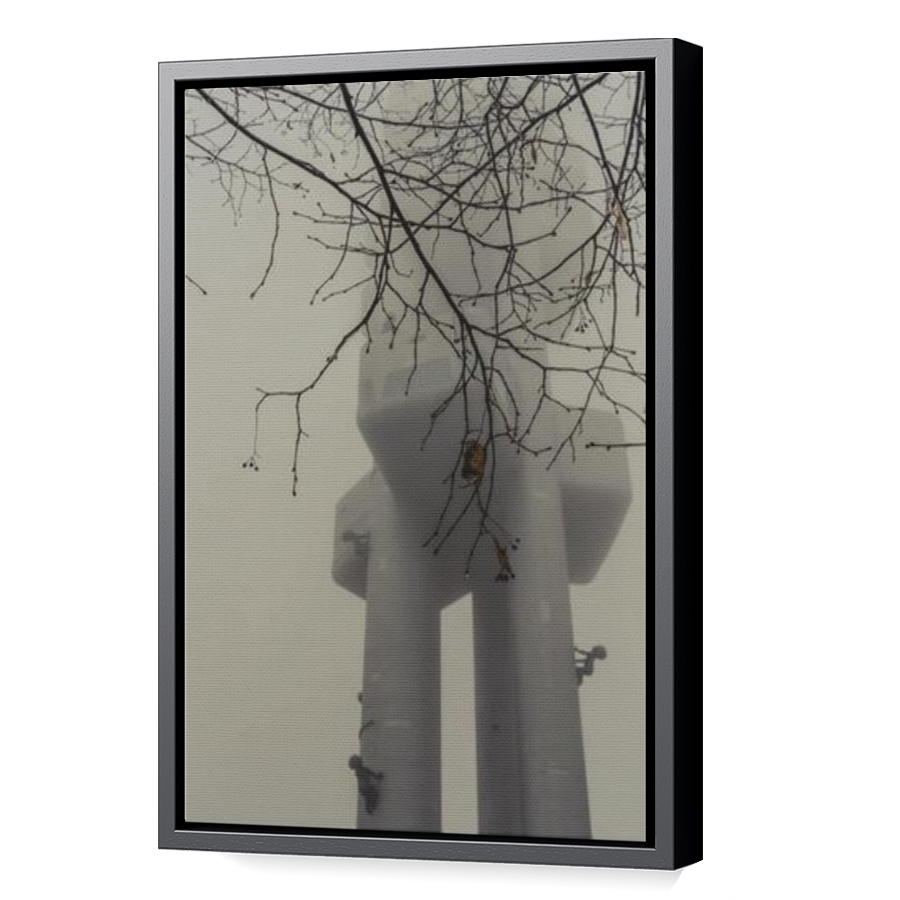 Thumbnail for Canvas - Black Floating Frame