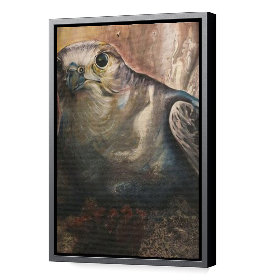 Thumbnail for Canvas - Black Floating Frame