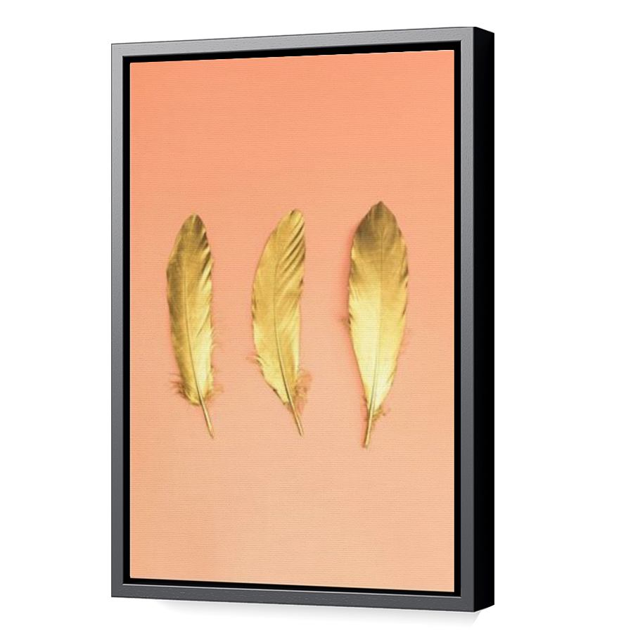 Thumbnail for Canvas - Black Floating Frame