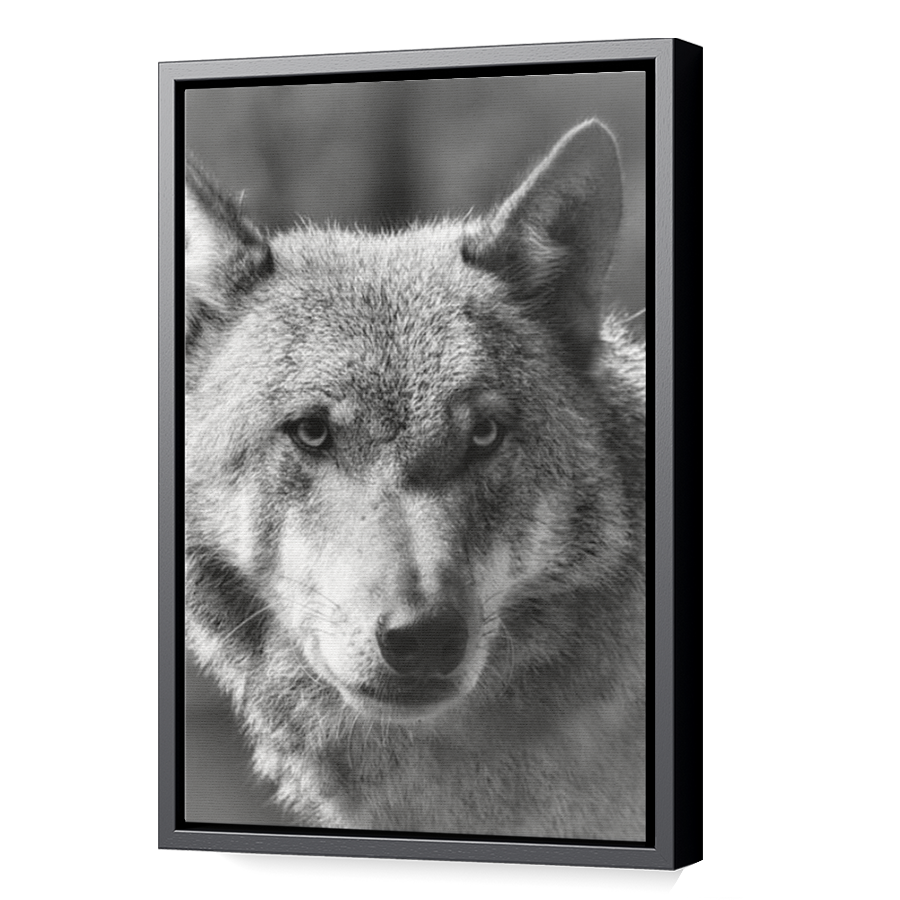 Thumbnail for Canvas - Black Floating Frame