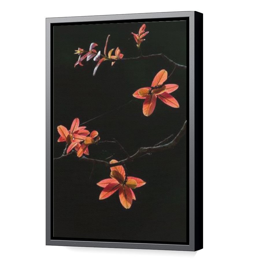 Thumbnail for Canvas - Black Floating Frame