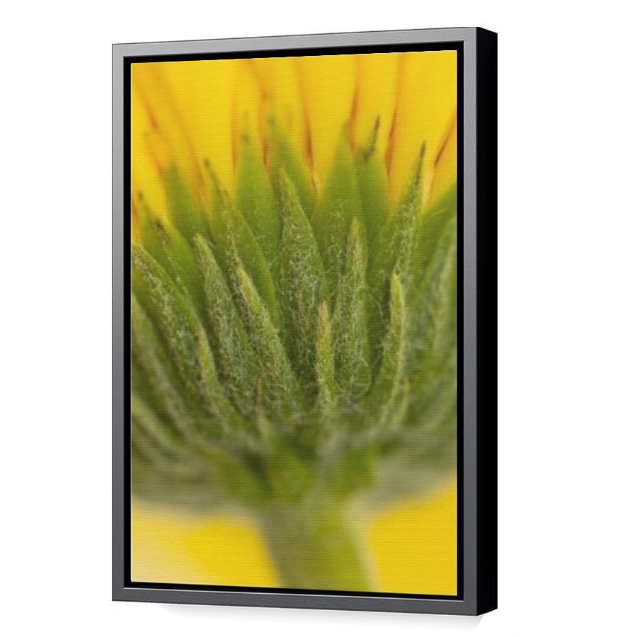 Thumbnail for Canvas - Black Floating Frame