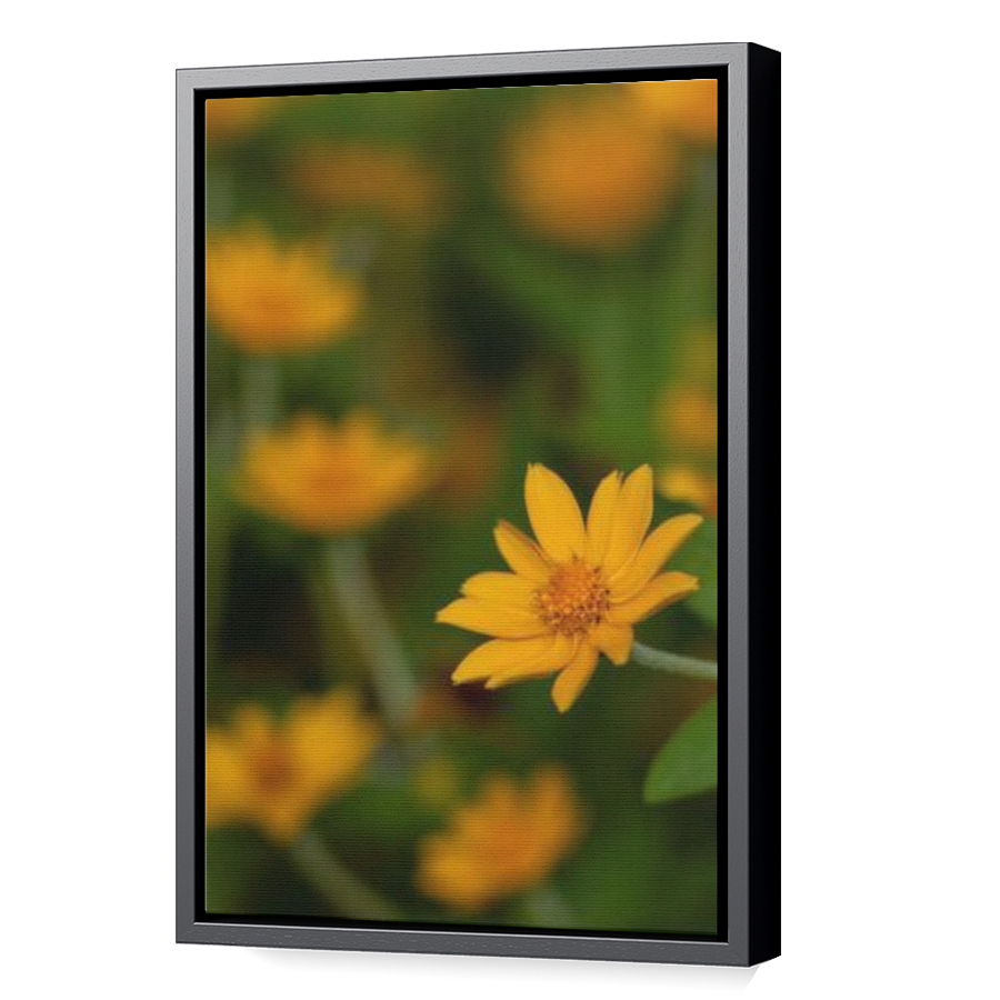 Thumbnail for Canvas - Black Floating Frame