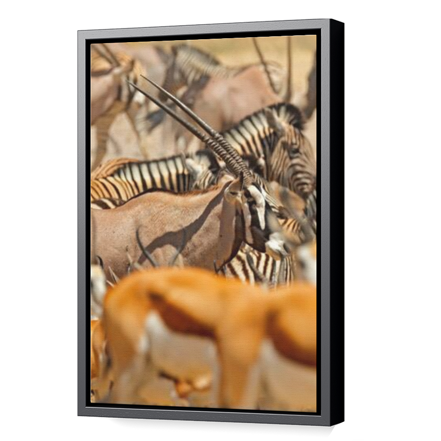 Thumbnail for Canvas - Black Floating Frame