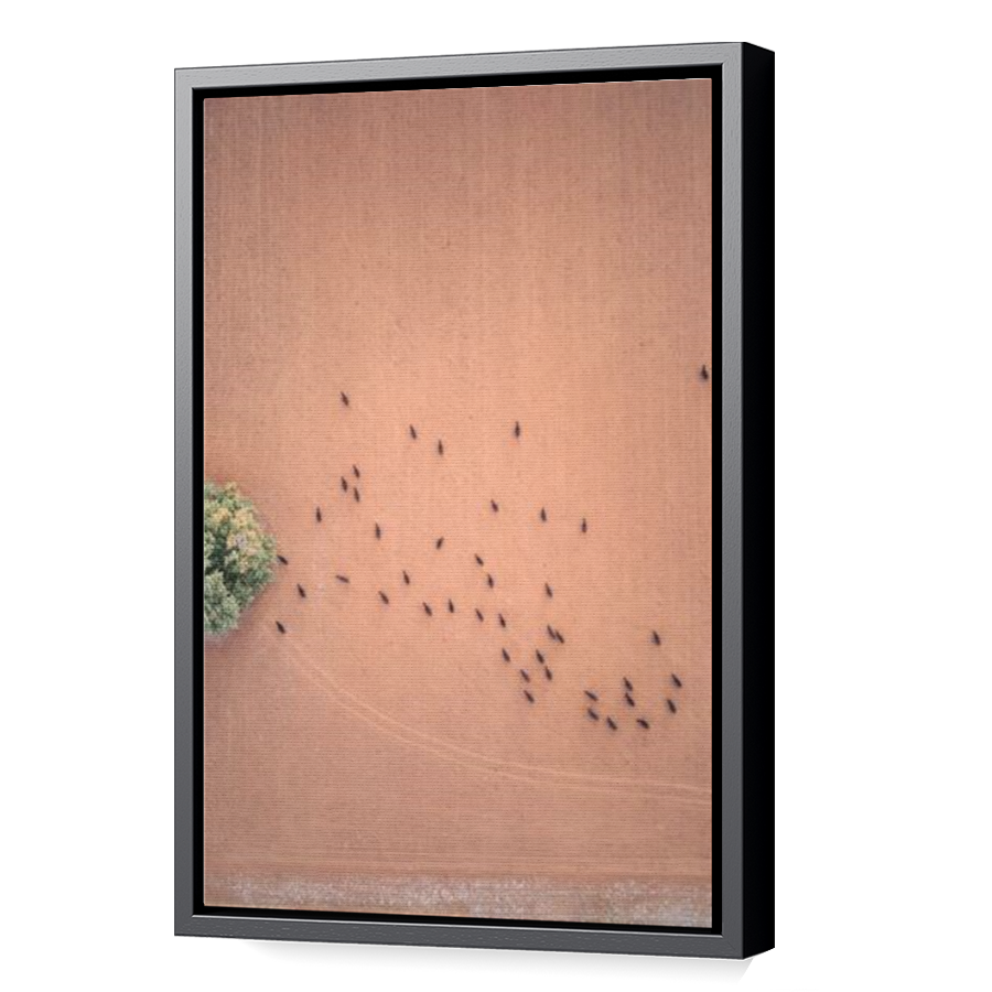 Thumbnail for Canvas - Black Floating Frame