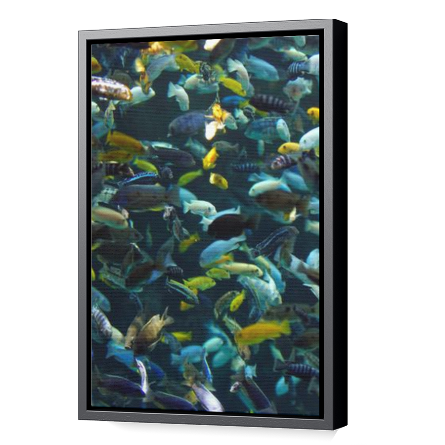 Thumbnail for Canvas - Black Floating Frame