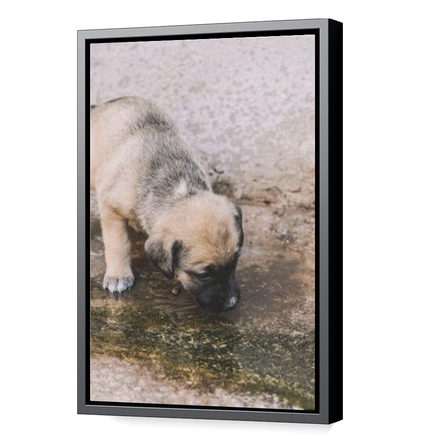 Thumbnail for Canvas - Black Floating Frame