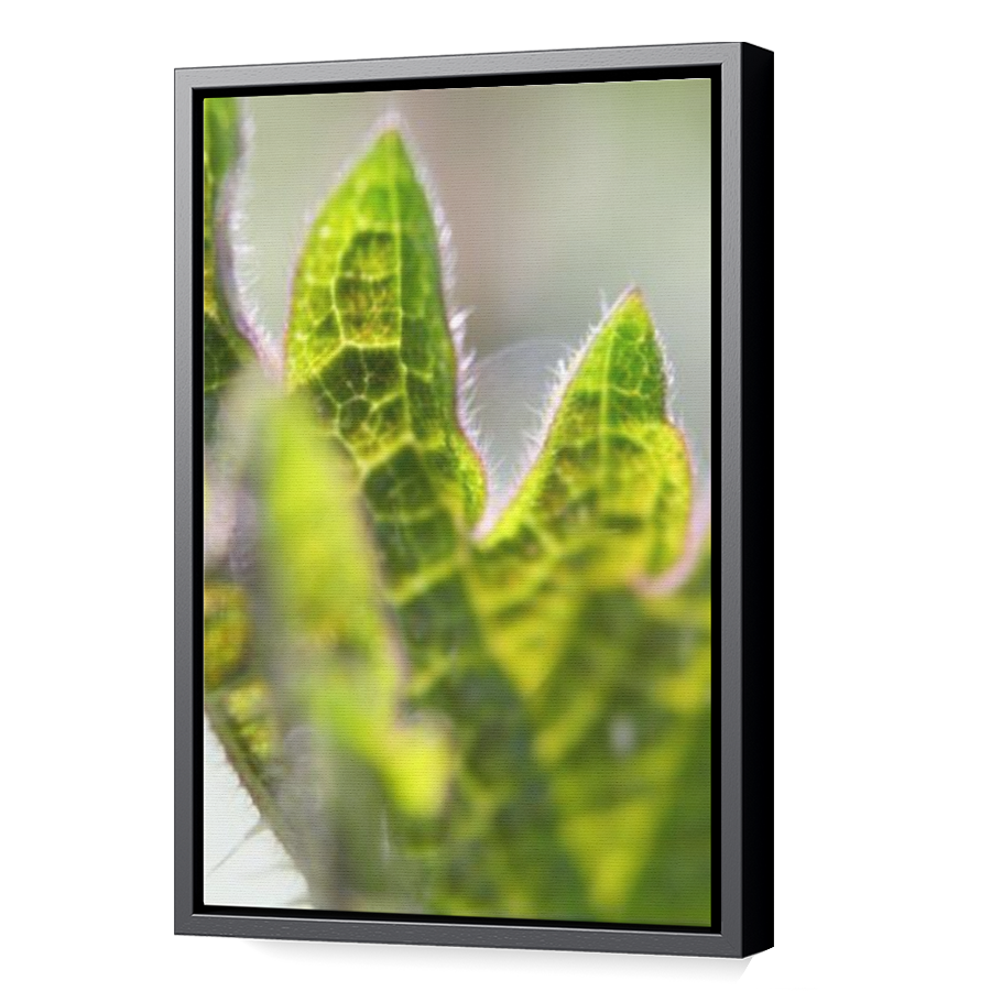 Thumbnail for Canvas - Black Floating Frame