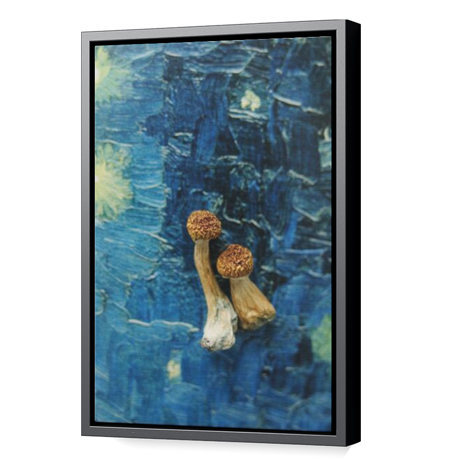Thumbnail for Canvas - Black Floating Frame
