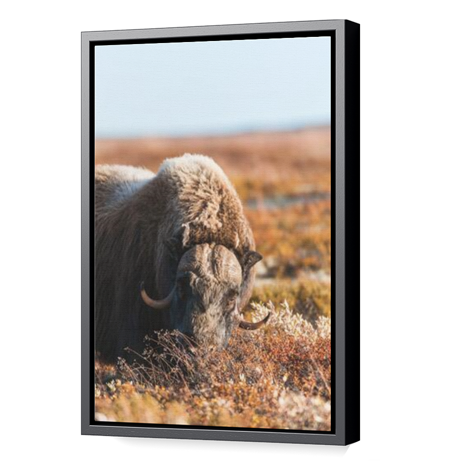 Thumbnail for Canvas - Black Floating Frame
