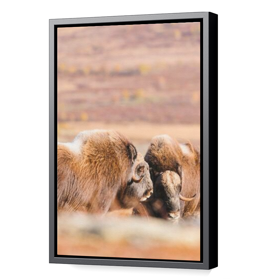 Thumbnail for Canvas - Black Floating Frame