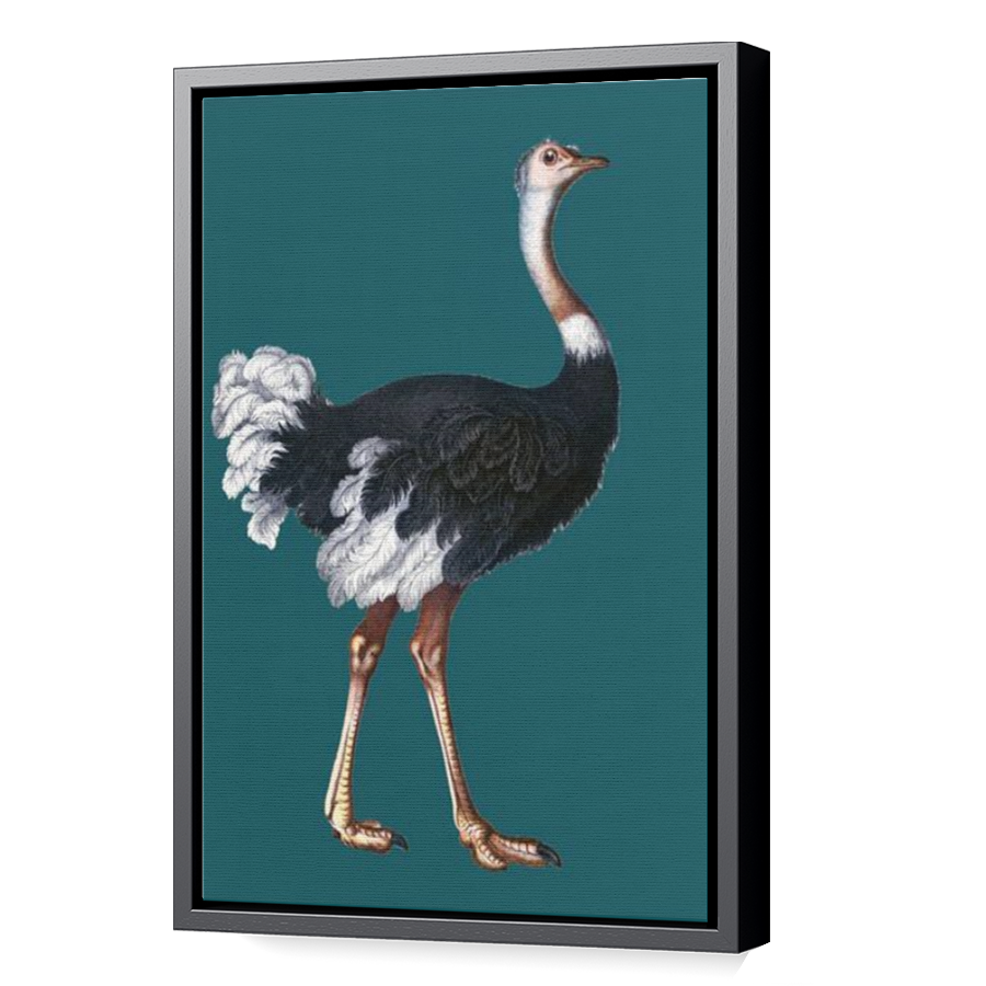 Thumbnail for Canvas - Black Floating Frame