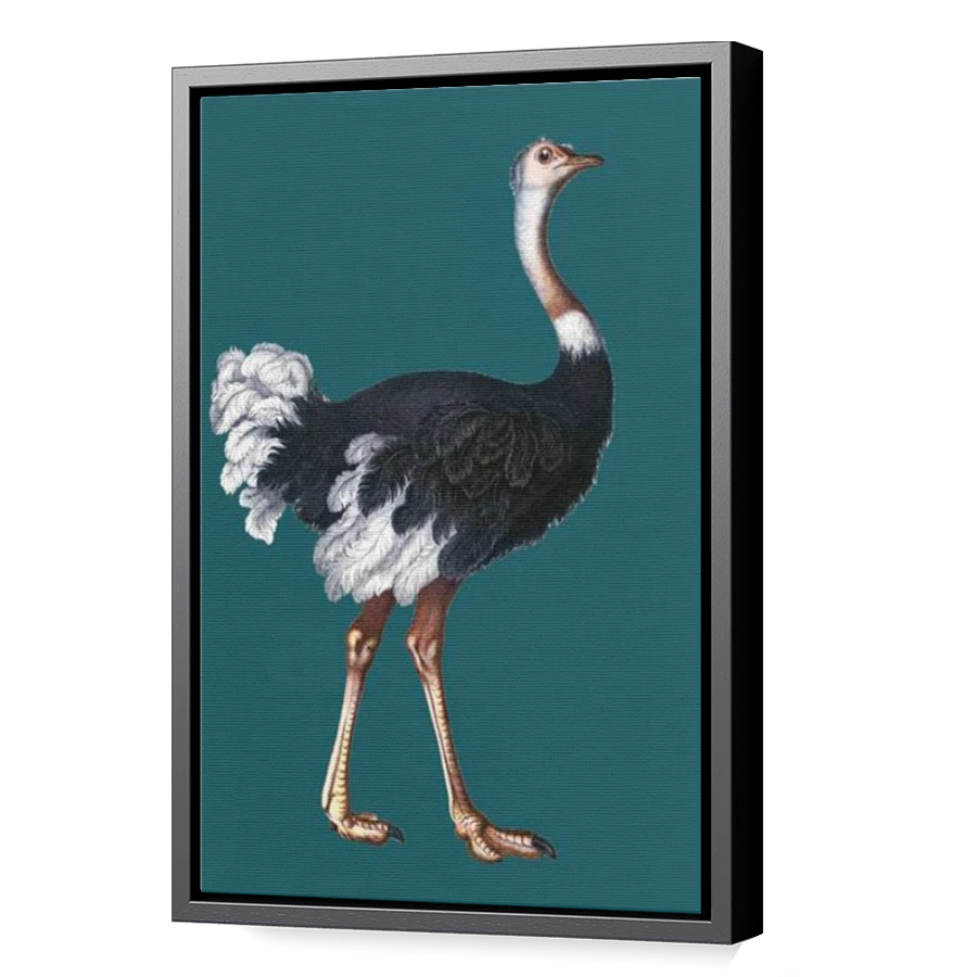 Thumbnail for Canvas - Black Floating Frame