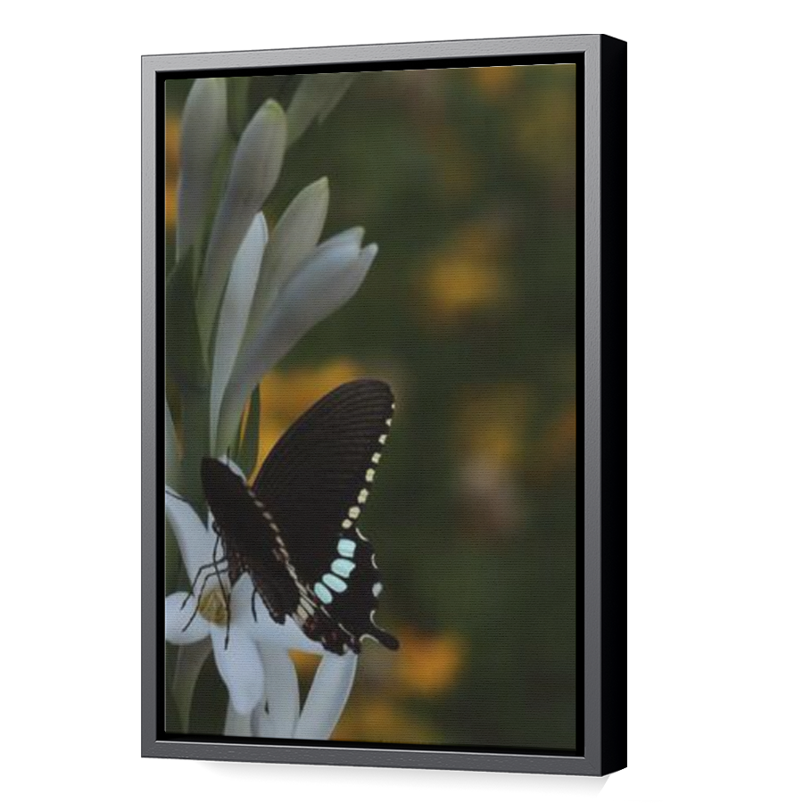 Thumbnail for Canvas - Black Floating Frame