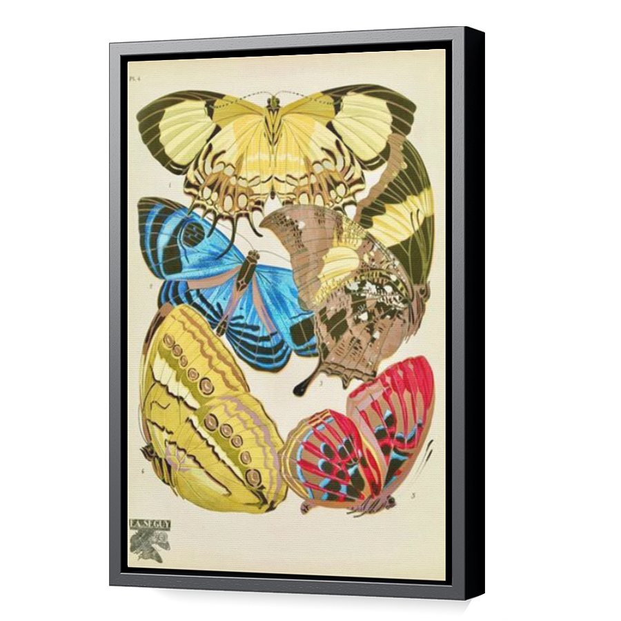 Thumbnail for Canvas - Black Floating Frame