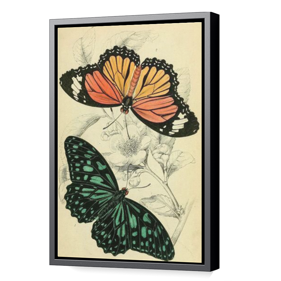 Thumbnail for Canvas - Black Floating Frame