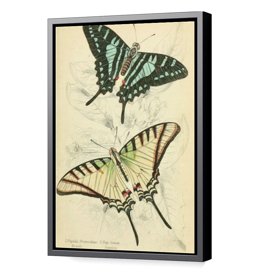 Thumbnail for Canvas - Black Floating Frame