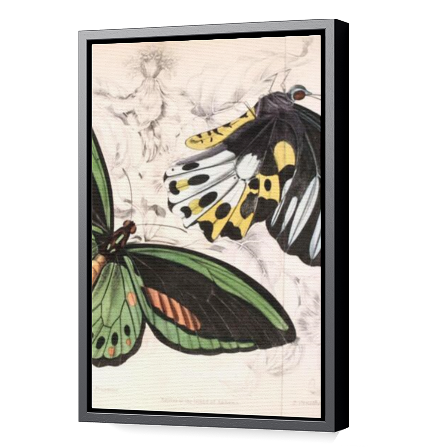 Thumbnail for Canvas - Black Floating Frame
