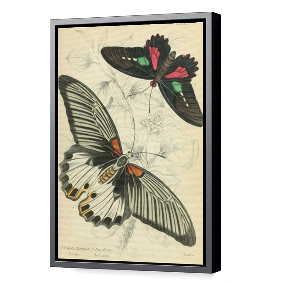 Thumbnail for Canvas - Black Floating Frame