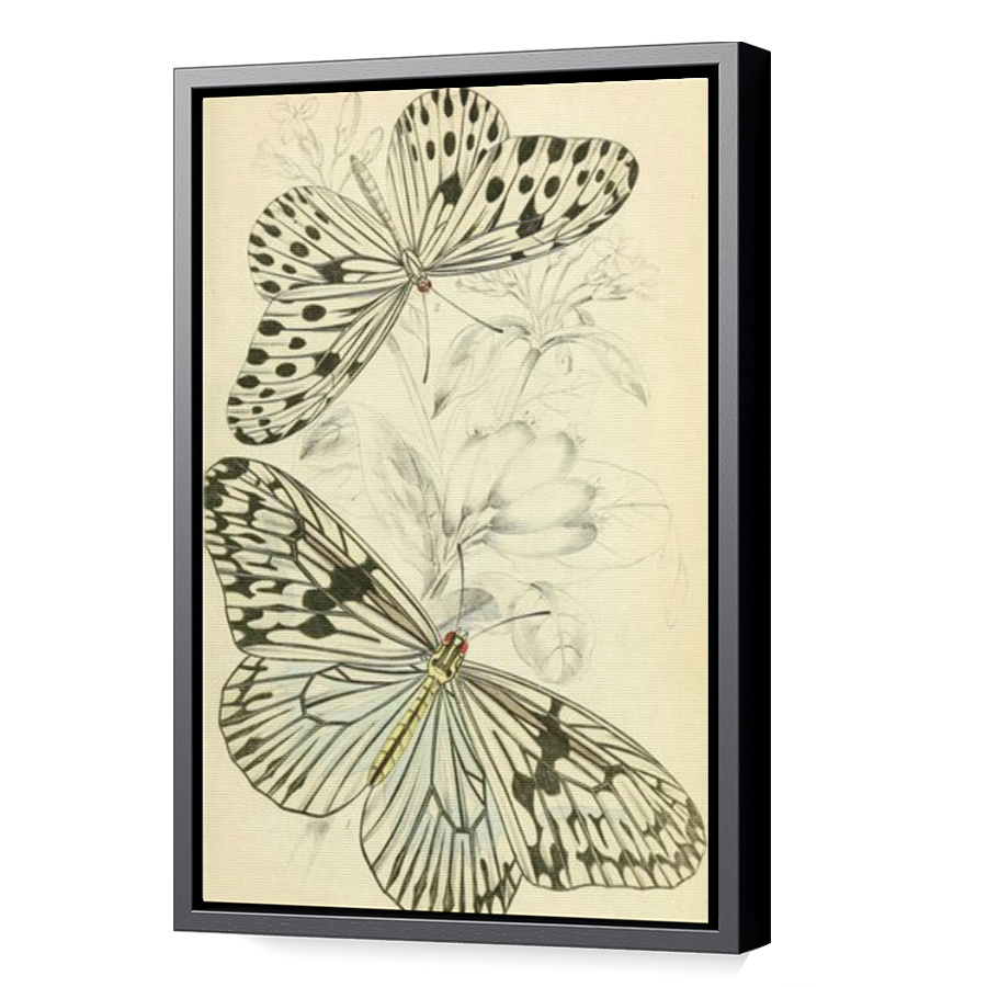 Thumbnail for Canvas - Black Floating Frame