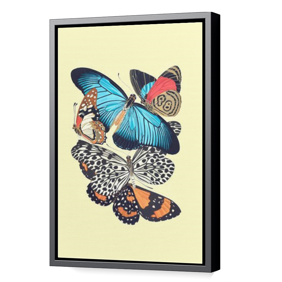 Thumbnail for Canvas - Black Floating Frame