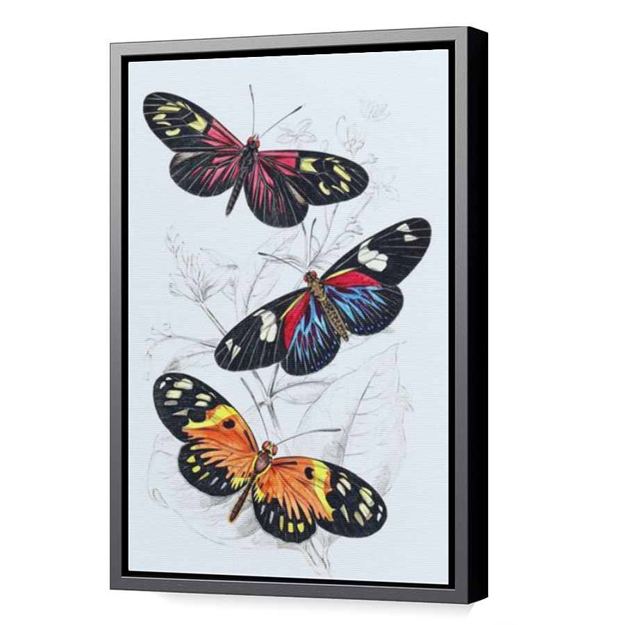 Thumbnail for Canvas - Black Floating Frame