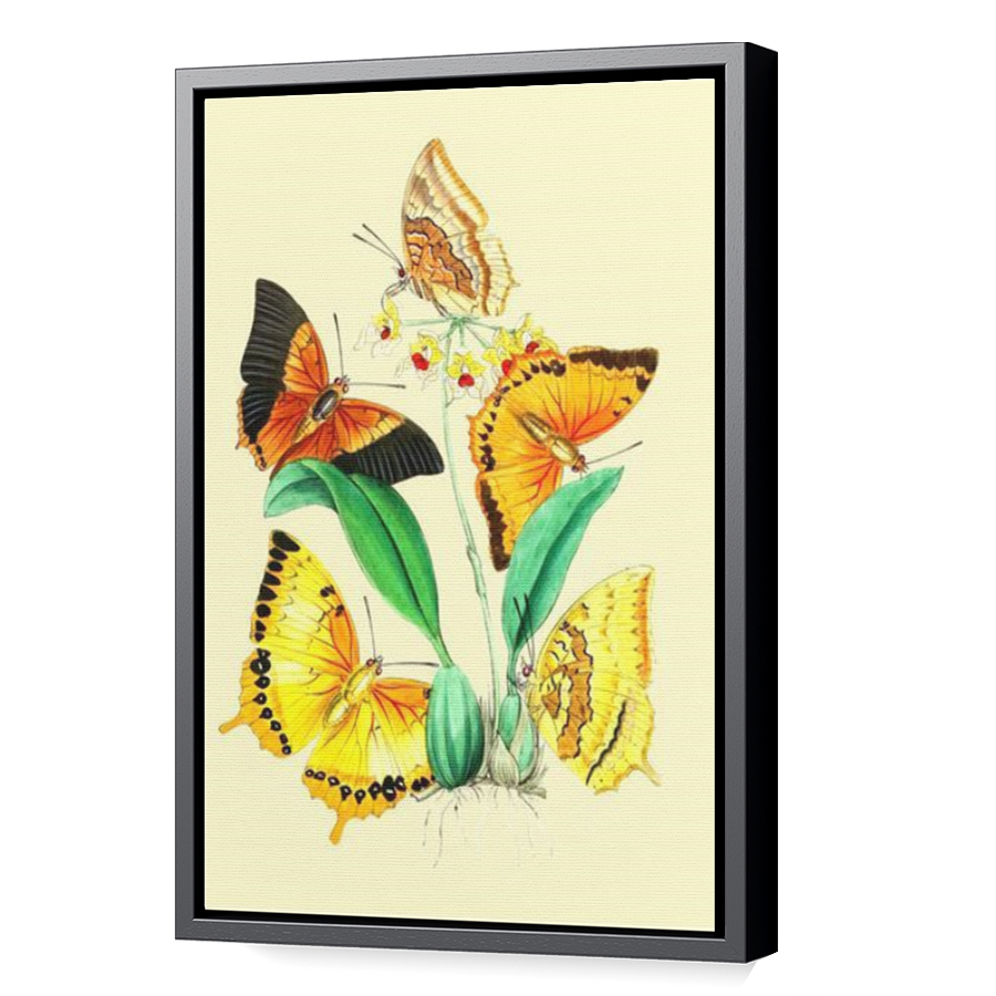 Thumbnail for Canvas - Black Floating Frame