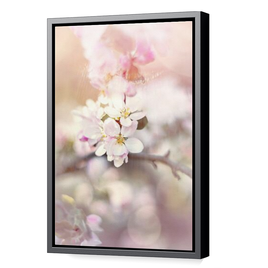 Thumbnail for Canvas - Black Floating Frame
