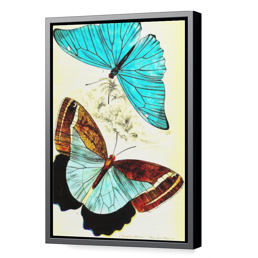 Thumbnail for Canvas - Black Floating Frame